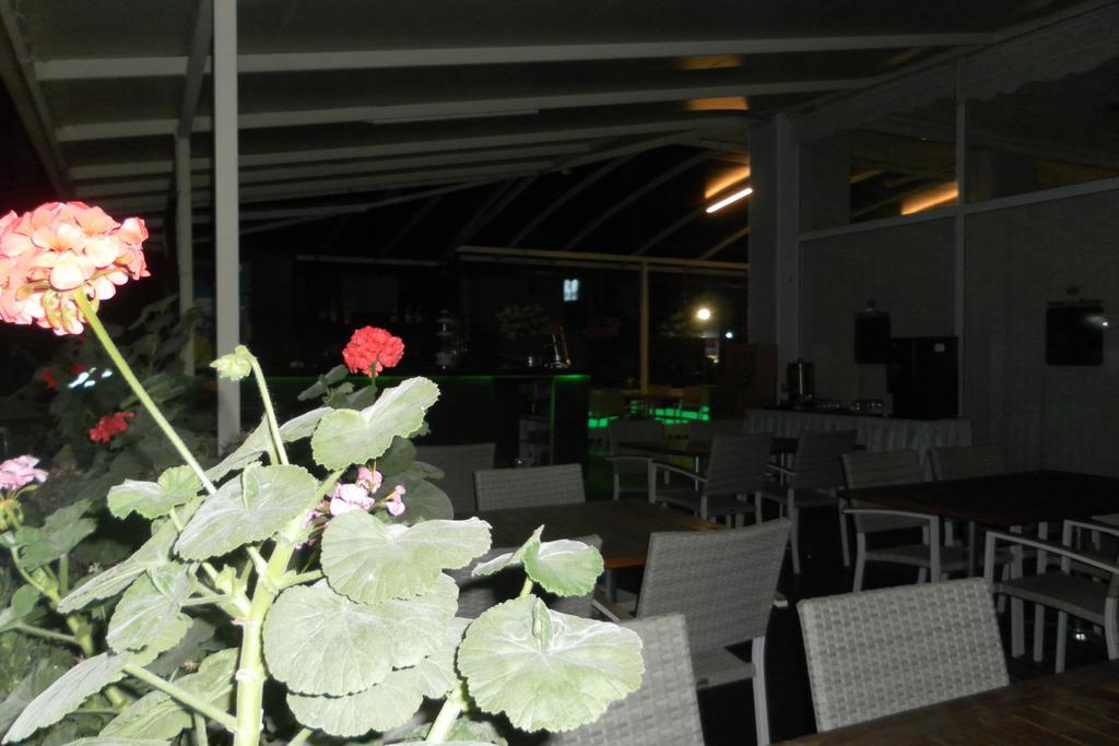 Hotel La Mosae 阿拉尼亚 外观 照片